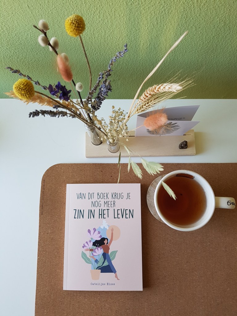Recensie - Van dit boek krijg je nog meer zin in het leven – Catelijne